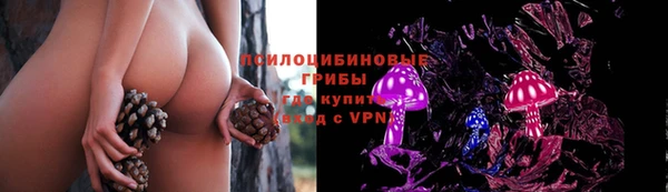 Альфа ПВП Лихославль