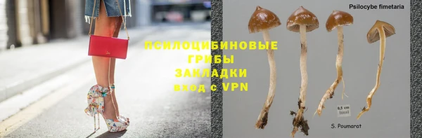 2c-b Лиски