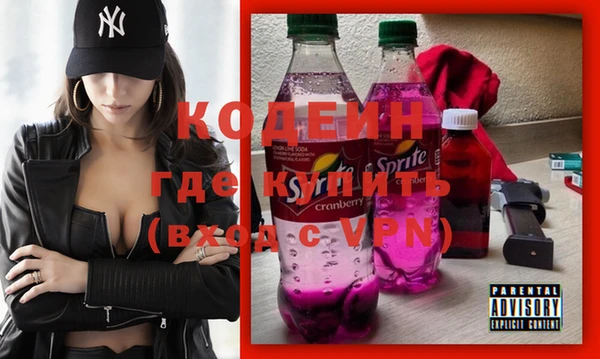 хмурый Липки