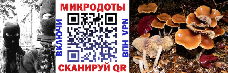 Псилоцибиновые грибы прущие грибы  Усть-Джегута 