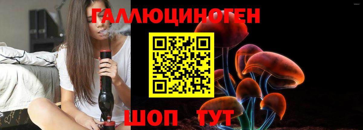 Галлюциногенные грибы GOLDEN TEACHER Усть-Джегута