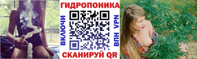 Канабис план  Усть-Джегута 