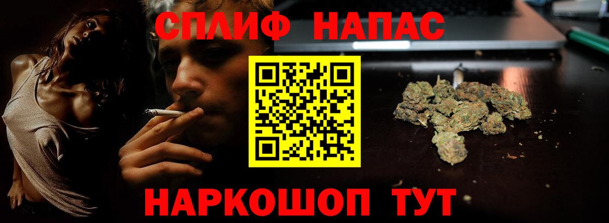 Конопля гибрид Усть-Джегута